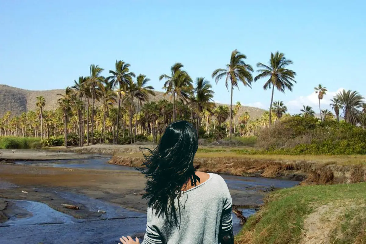 Foto: México en fotos | Canva.