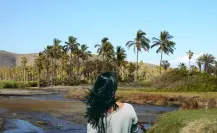 ¿Por qué la conservación del Oasis de Todos Santos es vital para Baja California Sur?