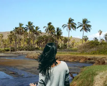 ¿Por qué la conservación del Oasis de Todos Santos es vital para Baja California Sur?