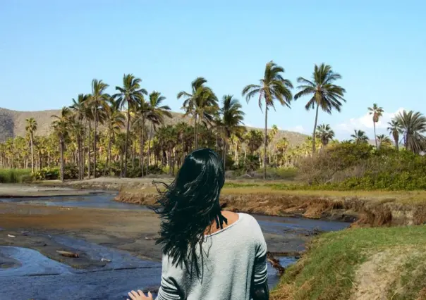 ¿Por qué la conservación del Oasis de Todos Santos es vital para Baja California Sur?