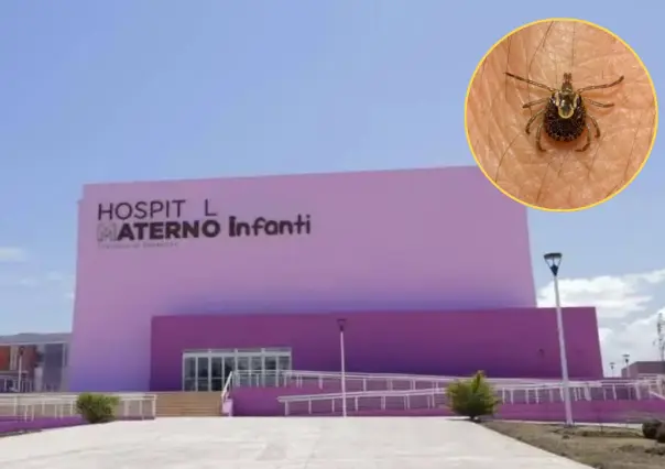 Muere niño por mordedura de garrapata, ¿qué es la rickettsia?
