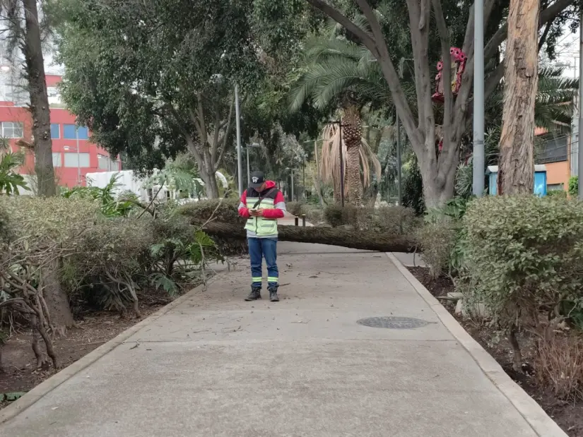 Foto: Ramón Ramírez