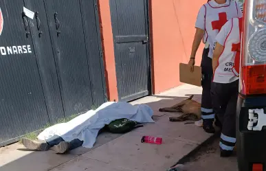 Indigente fallece en una calle de Durango y su lomito resguarda el cadáver a su lado