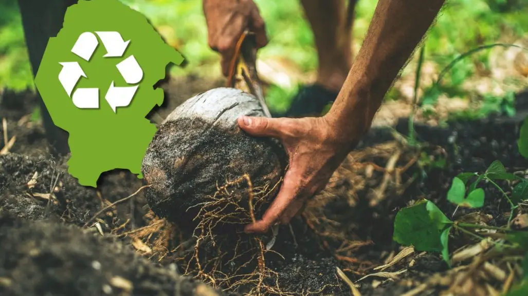 Coahuila anuncia agenda verde, ¿cómo beneficia al medio ambiente?
