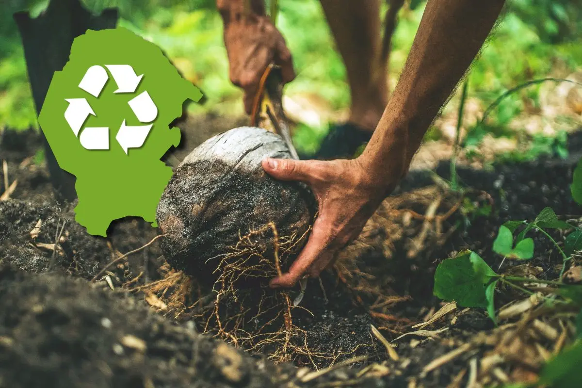 Agenda verde ecológica en Coahuila, así beneficiara al estado / Foto: Composición de Canva