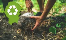Coahuila anuncia agenda verde, ¿cómo beneficia al medio ambiente? 