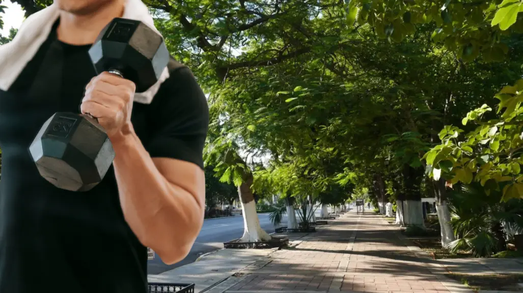 Estos son los árboles de Yucatán más resistentes a los huracanes