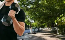 Estos son los árboles de Yucatán más resistentes a los huracanes