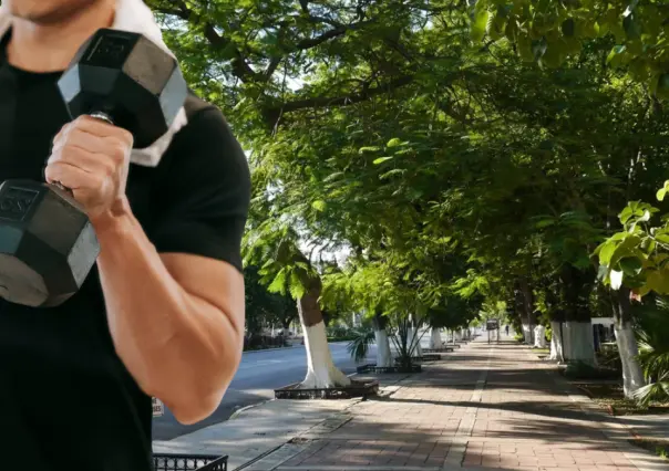 Estos son los árboles de Yucatán más resistentes a los huracanes