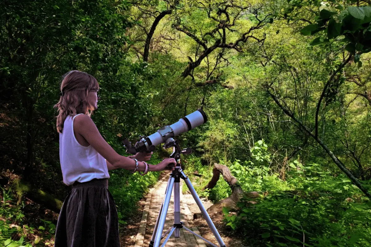 Los asistentes podrán participar en una actividad guiada de observación del cielo estrellado. Foto: Canva.