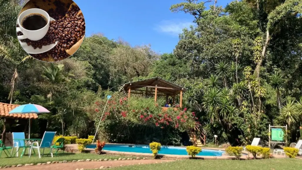 El mágico paraíso oculto donde puedes dormir entre cafetales que está a 4 horas de CDMX