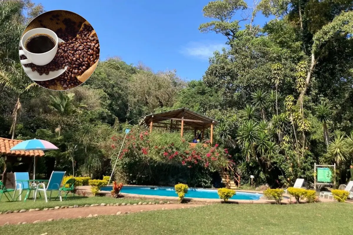 Villa Los Maquiques en Coatepec, Veracruz, tasa de café. Foto: Facebook Villa Los Maquiques | Canva