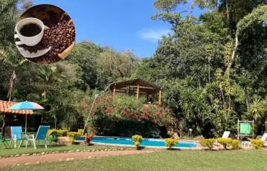 El mágico paraíso oculto donde puedes dormir entre cafetales que está a 4 horas de CDMX
