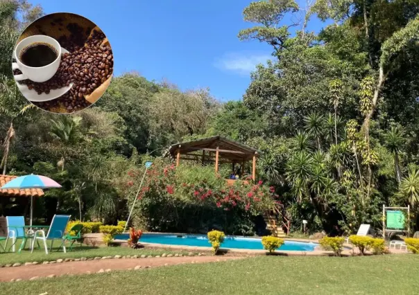 El mágico paraíso oculto donde puedes dormir entre cafetales que está a 4 horas de CDMX