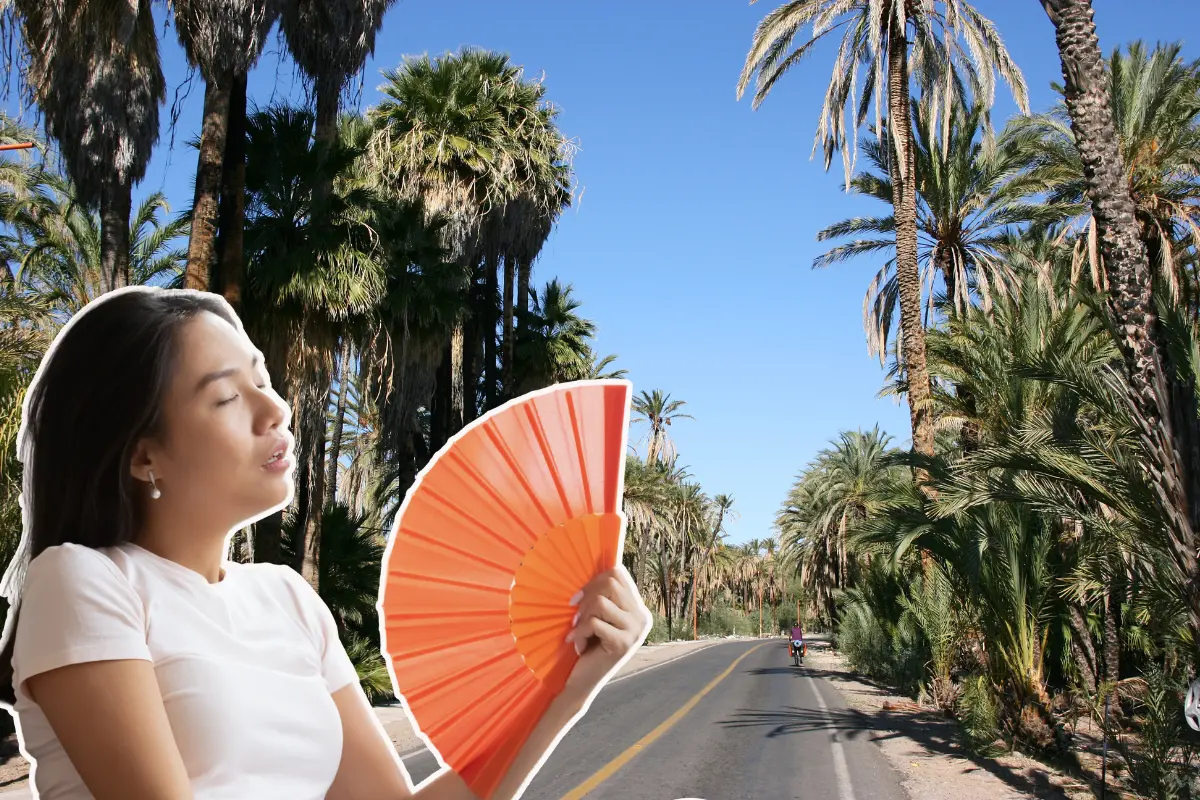 La Conagua pronostica altas temperaturas para Baja California Sur, así que a cuidarse de la deshidratación. Fotos: Canva.