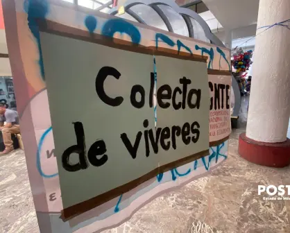 VIDEO | Exmaestra del Edomex junta víveres para docentes de la CNTE en plantón