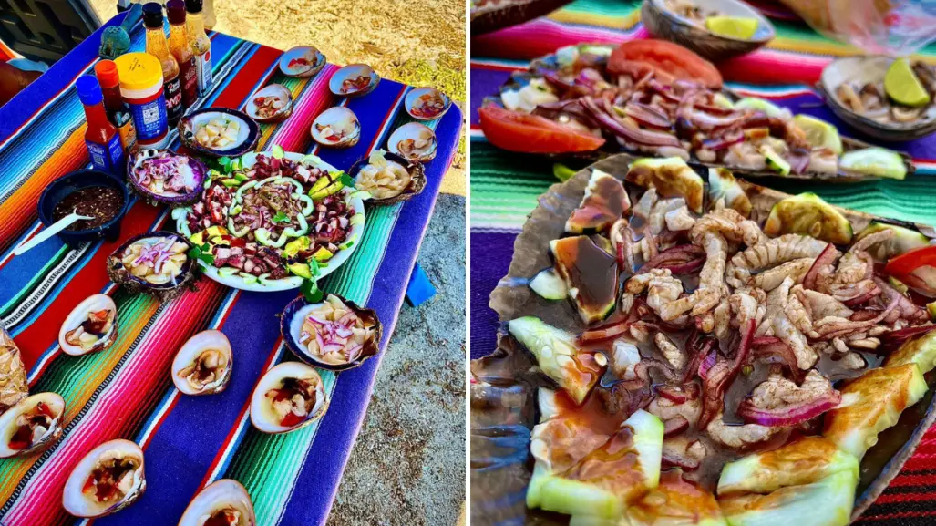 El tour pesquero de Bahía Concepción con los mejores mariscos de México: frescos y directo al plato