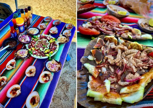 El tour pesquero de Bahía Concepción con los mejores mariscos de México: frescos y directo al plato