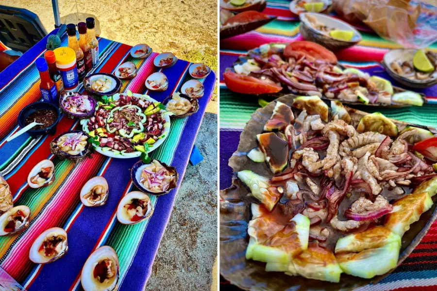 El tour pesquero de Bahía Concepción con los mejores mariscos de México: frescos y directo al plato