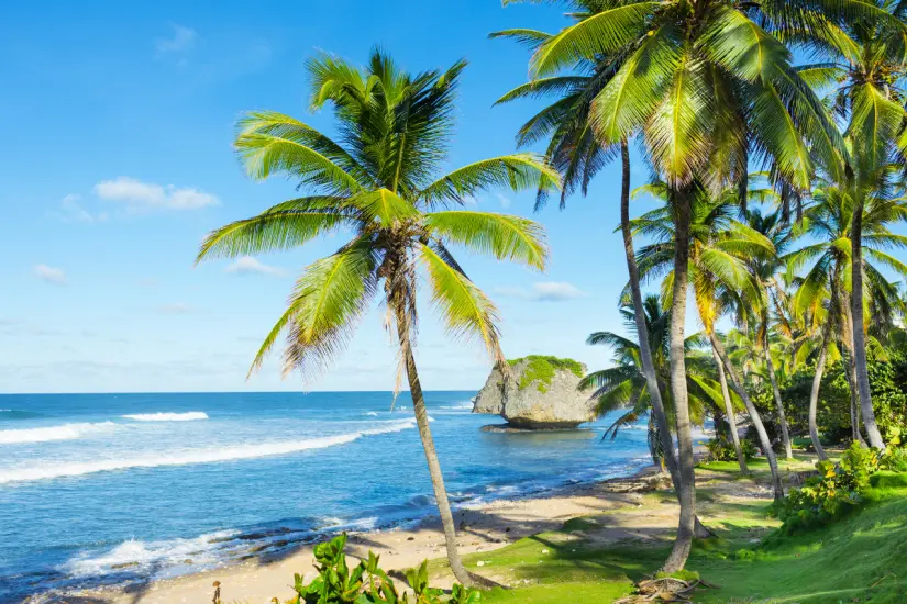 La belleza de las playas mexicanas las convierte en un atractivo irresistible para disfrutar del verano y crear memorias únicas. Foto: Canva