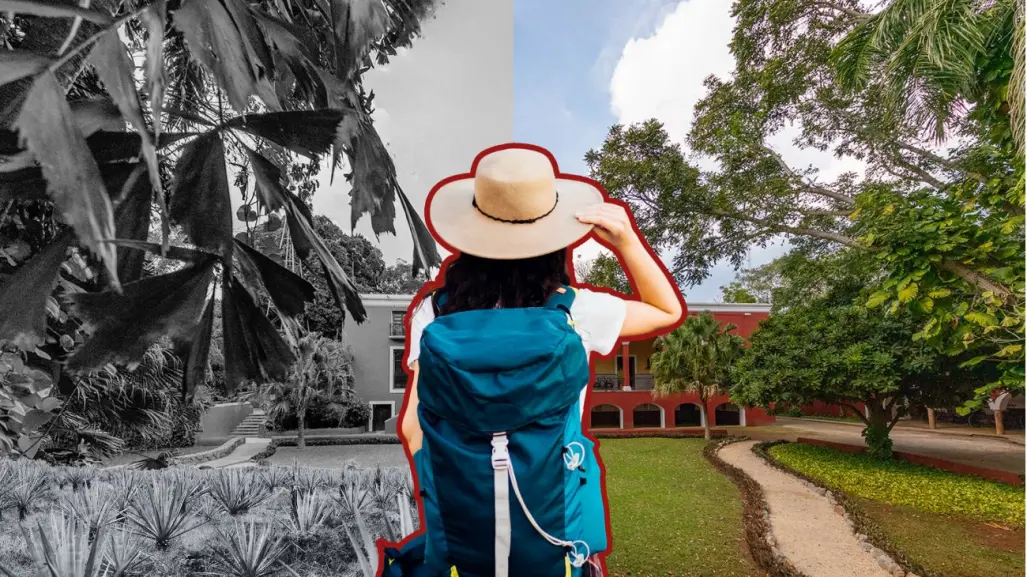 La histórica hacienda para conocer el origen del oro verde a 40 minutos de Mérida