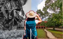 La histórica hacienda para conocer el origen del oro verde a 40 minutos de Mérida
