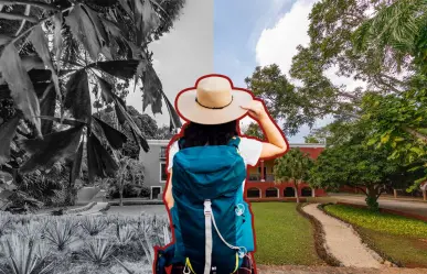 La histórica hacienda para conocer el origen del oro verde a 40 minutos de Mérida