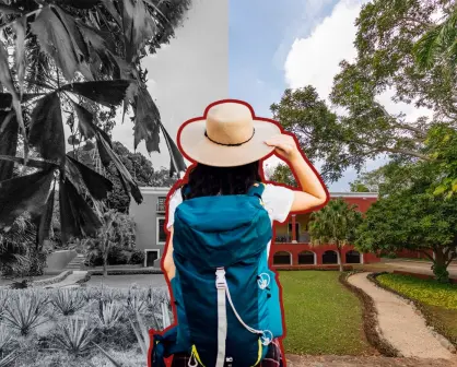 La histórica hacienda para conocer el origen del oro verde a 40 minutos de Mérida