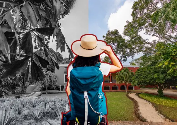 La histórica hacienda para conocer el origen del oro verde a 40 minutos de Mérida
