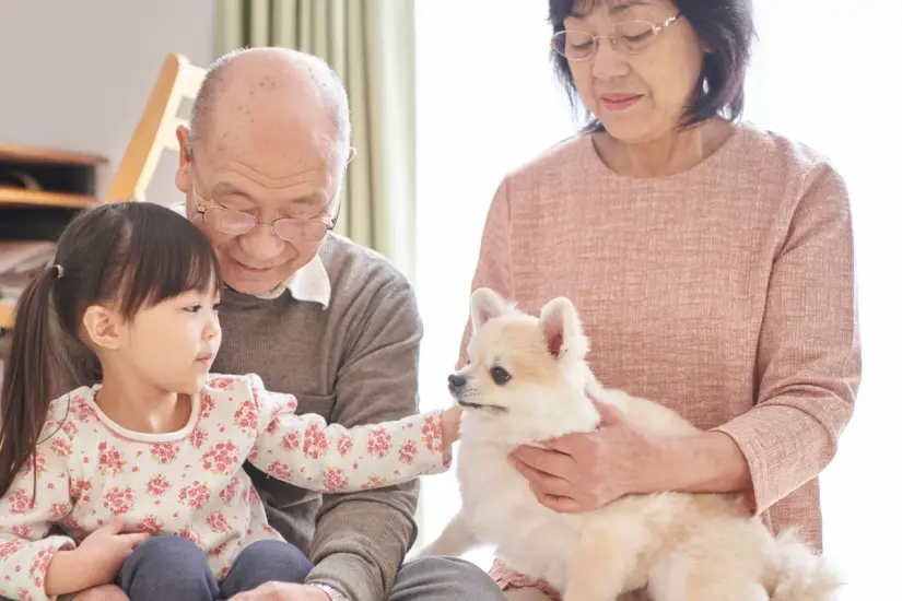Encontrar la raza de perro perfecta es esencial para asegurar la felicidad y el bienestar de los adultos mayores. Foto: Canva
