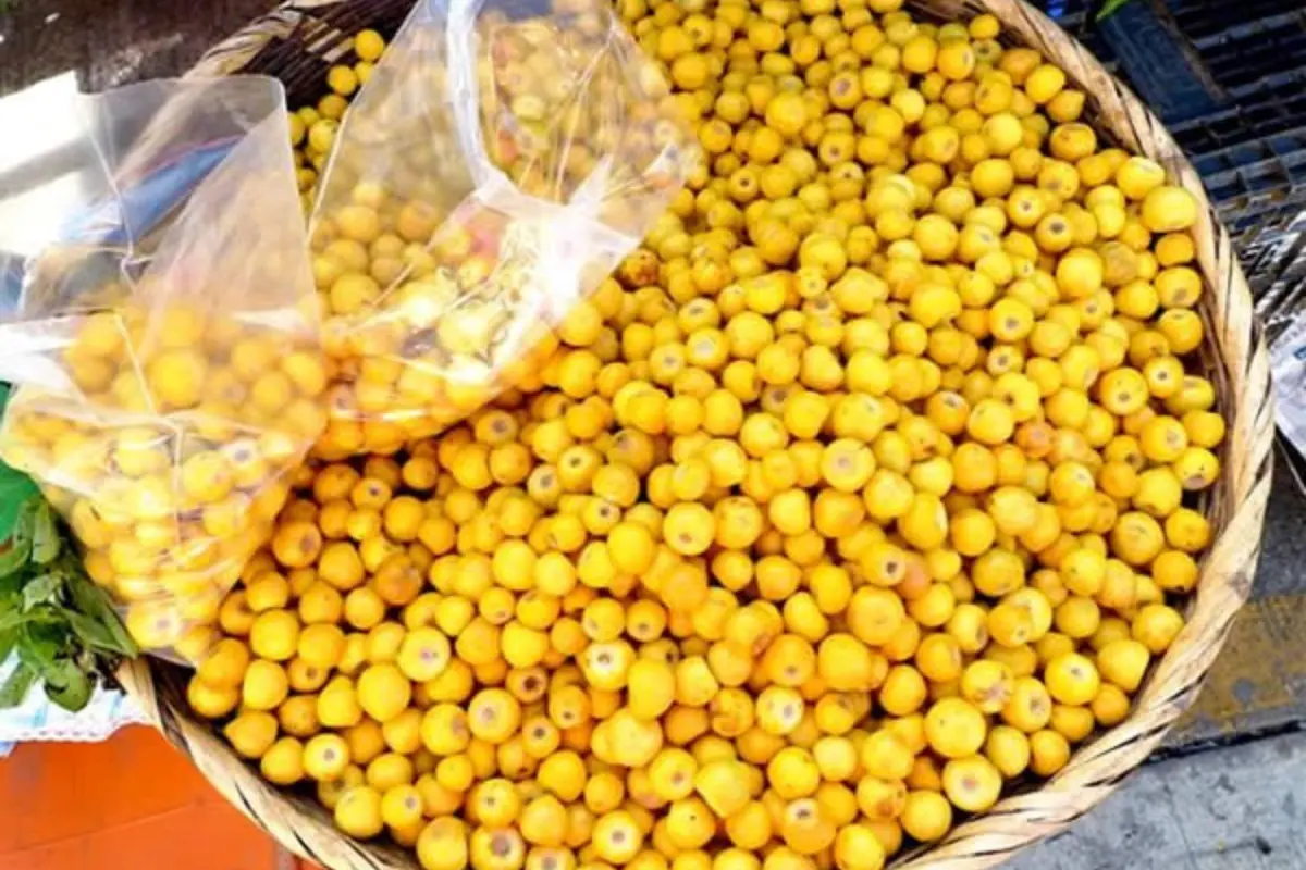El nanche es una fruta de temporada, se da en los meses de abril a finales de junio. Foto. bg