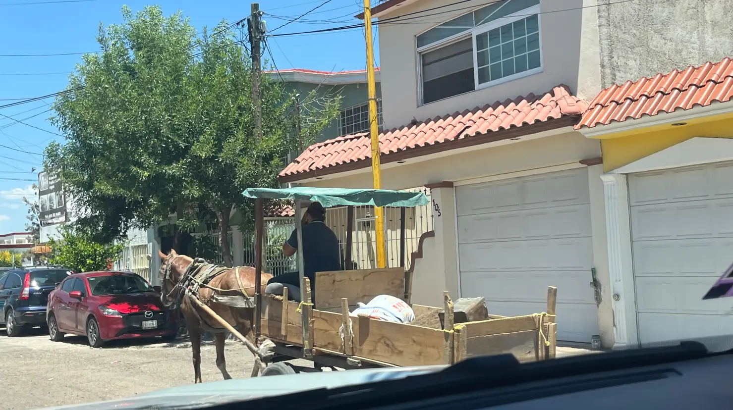 Foto: Jesús Carrillo | Está prohibido que se usen los caballos carretoneros en la capital