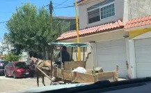 Los caballos de carga representan una forma de maltrato animal 