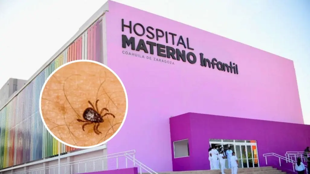 Rickettsia en Coahuila: Joven fallecido vivía en condiciones de extrema precariedad