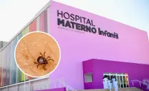 Rickettsia en Coahuila: Joven fallecido vivía en condiciones de extrema precariedad