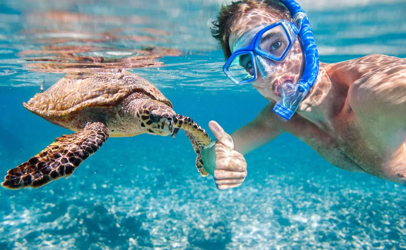 ¿Por qué Akumal es perfecta para nadar con tortugas? Foto: Canva