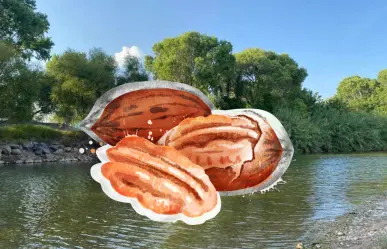 Río de Durango que riega a una importante zona de nogales