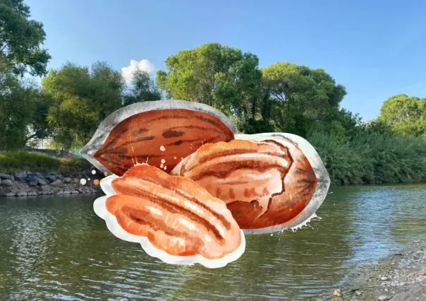 Río de Durango que riega a una importante zona de nogales