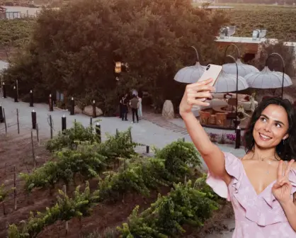 5 restaurantes de Baja California que son instagrameables | ¿Dónde están y cuánto cuesta comer ahí?