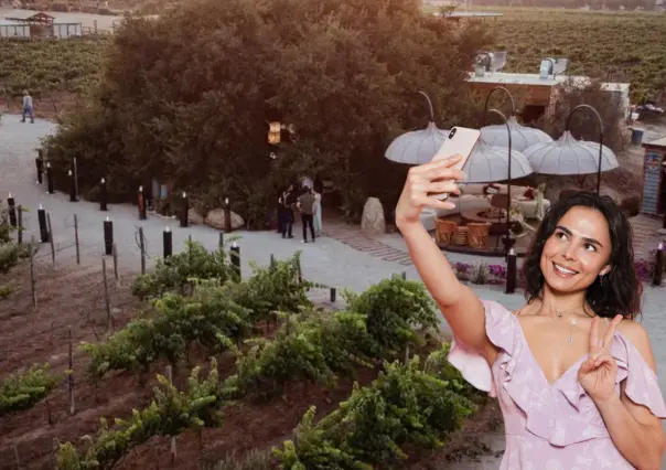 5 restaurantes de Baja California que son instagrameables y están en la guía Michelin