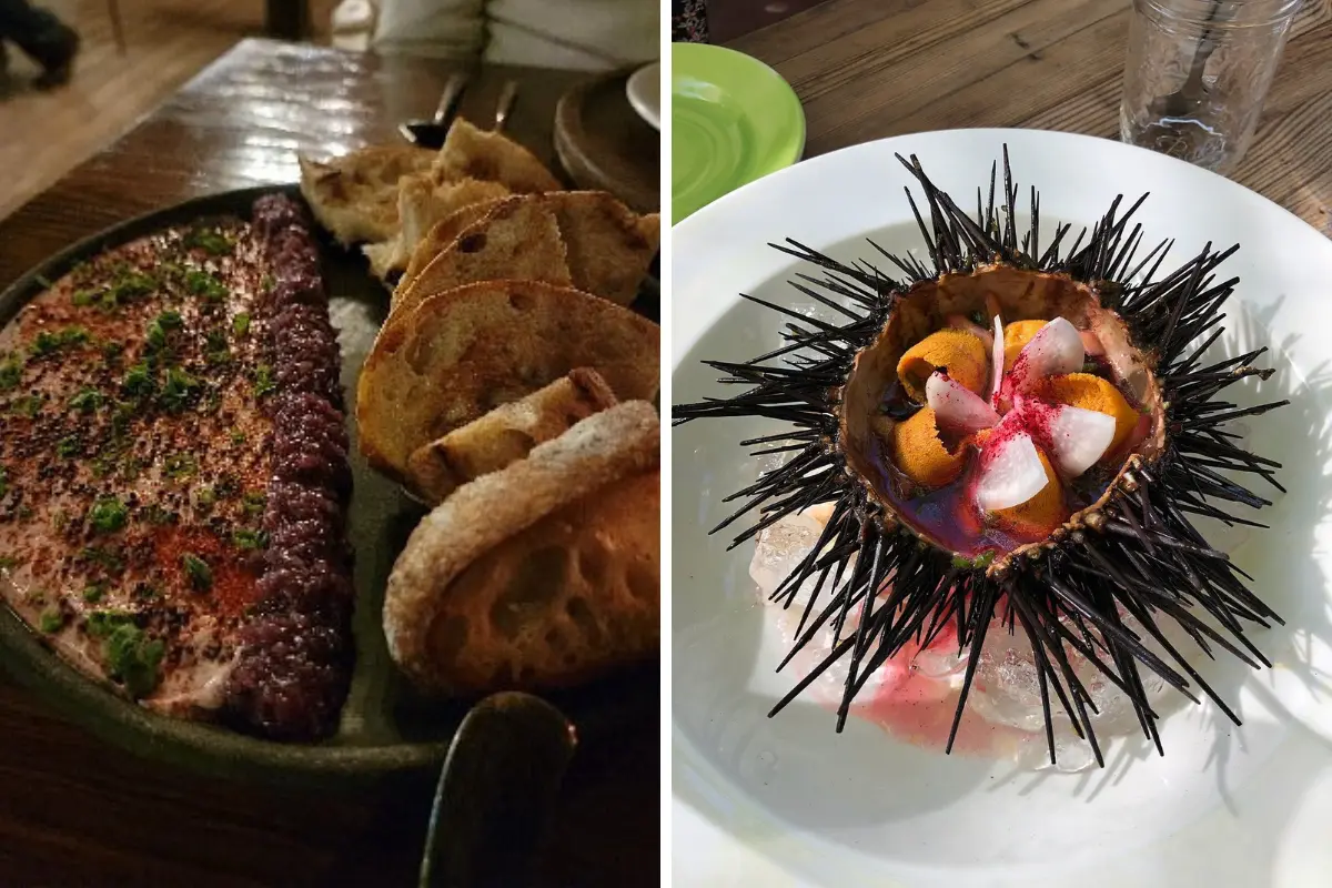 Foto: TripAdvisor | Canva.