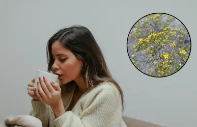 La planta nativa de Durango que se usa para combatir cálculos biliares, ¿realmente funciona?