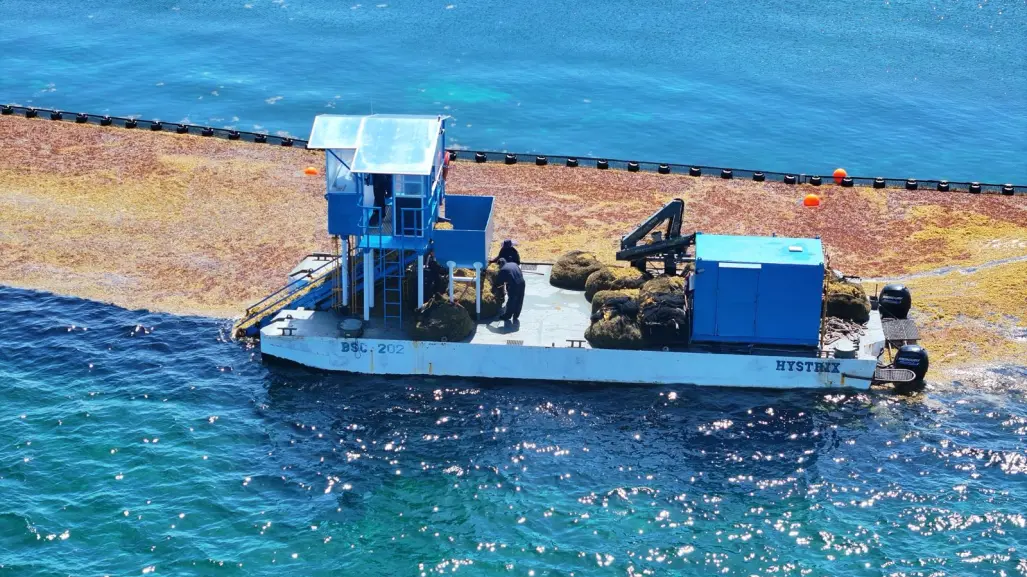 Inicia SEMAR Operación Sargazo 2025 en costas del Caribe Mexicano