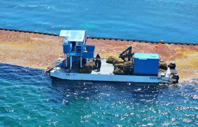 Inicia SEMAR Operación Sargazo 2025 en costas del Caribe Mexicano