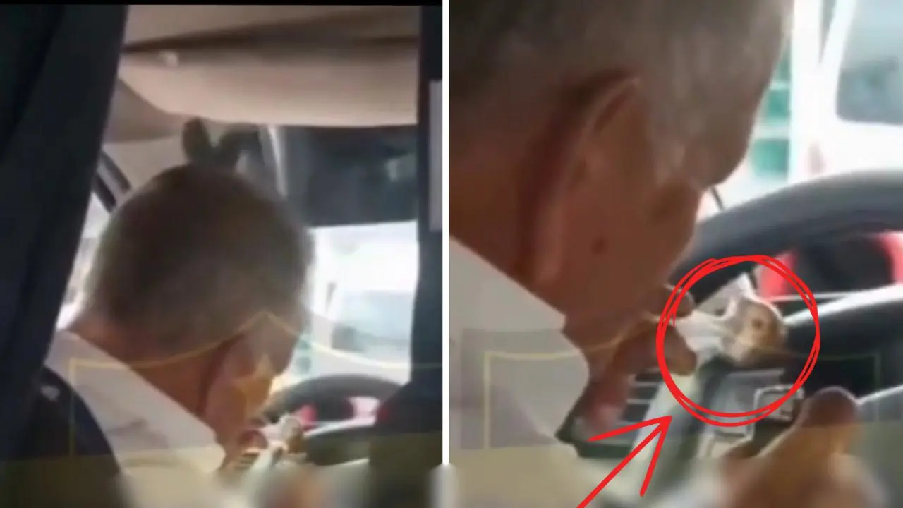 VIDEO | Captan a chofer de combi en Edomex consumiendo presuntas drogas durante su trabajo. Foto: @QuePocaMadre_Mx