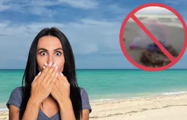 Es el peligroso animal nativo de Yucatán que se puede encontrar en las playas de la península