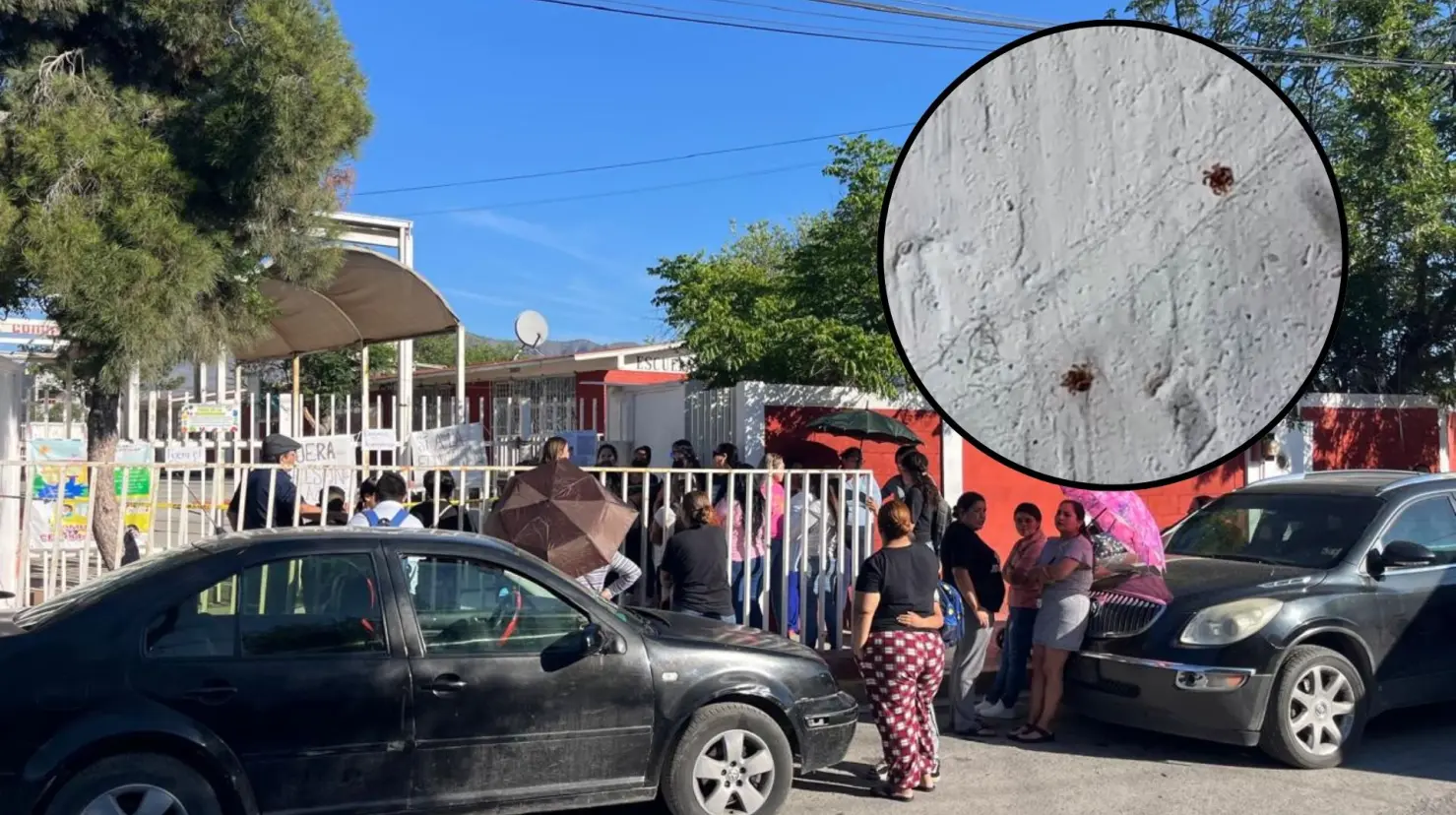 Padres reportan picaduras de chinches en la primaria Julio Torri. (Fotografía: Marco Juárez)