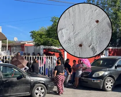 Persiste problemática en primaria Julio Torri de Saltillo por presuntas picaduras de chinches
