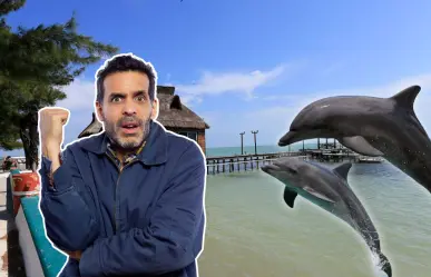 La aislada isla de Campeche que es ideal para ver delfines