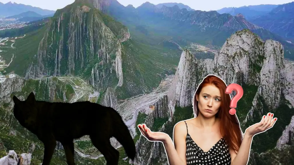 Este es el animal nativo de Nuevo León que vive en el Parque Nacional Cumbres de Monterrey